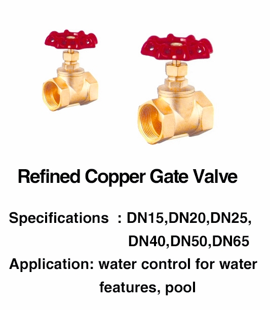 20200623211225_49828 SGS Swimming Pool Fountain Accessories 1 Inch Brass Gate Valve 0