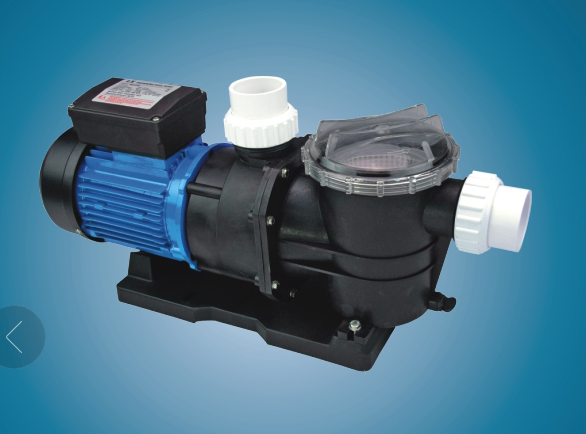 1.5 Inch 220v 0.75HP Swimming Pool Fountain Pumps 0
