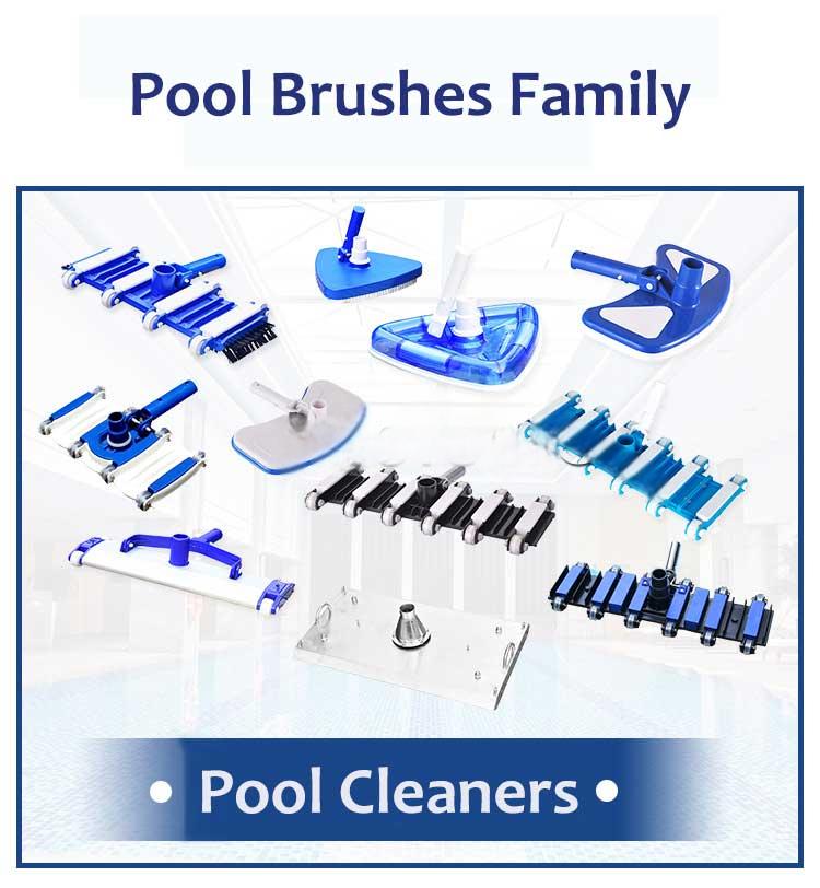 Pool brush family Pool brush family