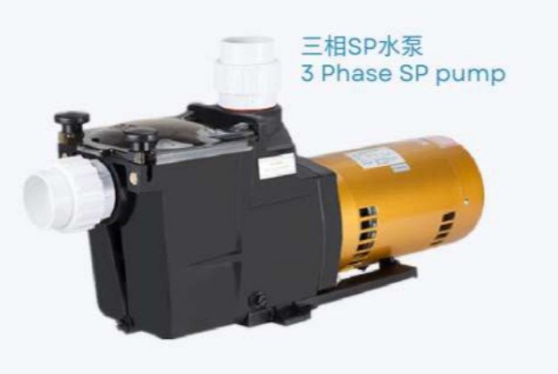 2023 SP1005 1HP Swimming Pool Water Pumps For Swimming Pool Using 2