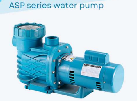 ASP100 Swimming Pool Water Pumps For Swimming Pool Using 0