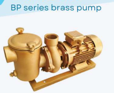 BP30 Swimming Pool Water Pumps For Swimming Pool 0