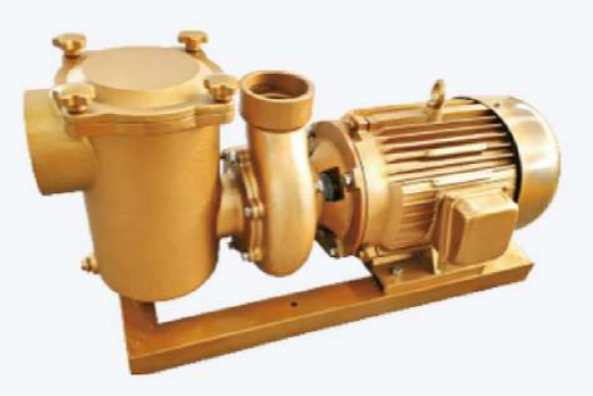 BP30 Swimming Pool Water Pumps For Swimming Pool 1