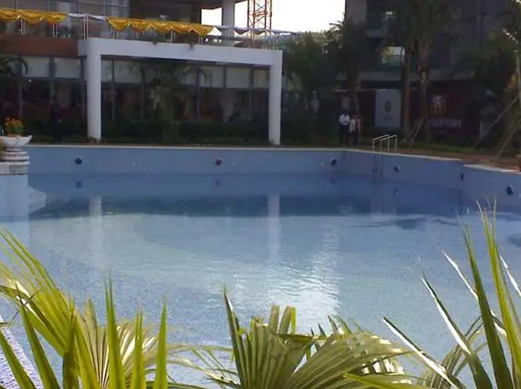 swimming pool Algaecide