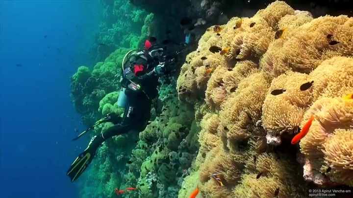 o1cn01xdlhon1vdybs7unyu_6000000002619-0-tbvideo-1-jpg_720x720q50-1