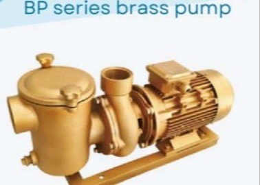 BP30 Swimming Pool Water Pumps For Swimming Pool