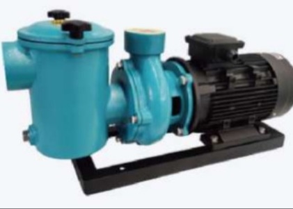 CCPB30 Swimming Pool Water Pumps For Swimming Pool