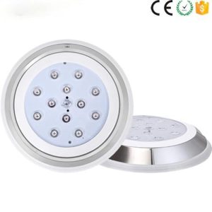 300mm Dia SS304 12W Underwater Inground Pool Lights